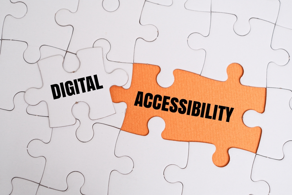 What Is Website Accessibility ?(Standards + How to Make Your Website Accessible)